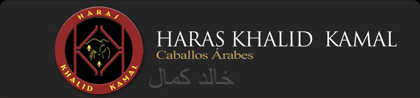Haras Khalid Kamal | CABALLOS ARAbES